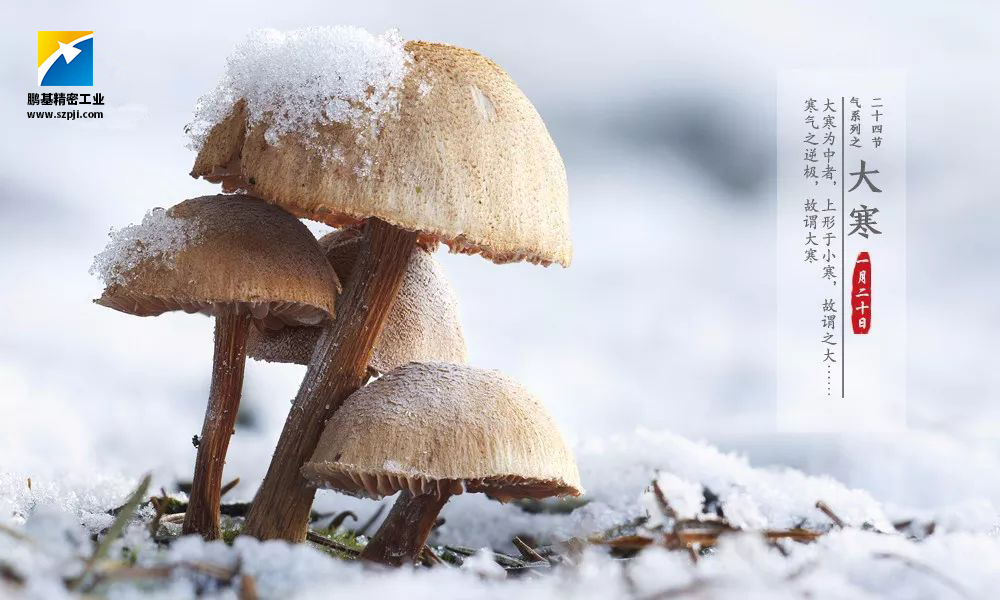 大寒，唯美冰雪迎新春！